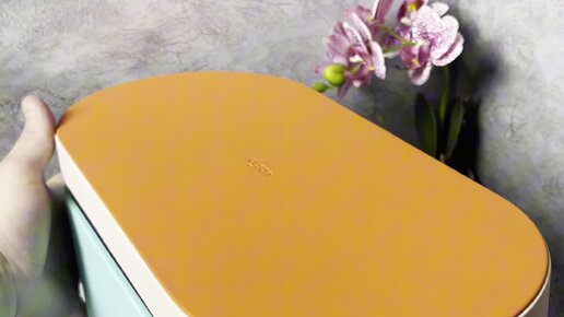 безумно может быть первым волк. слова песни сумасшедшая. волк мем. безумно можно бытььпервым. слова песни безумно можно быть первым.