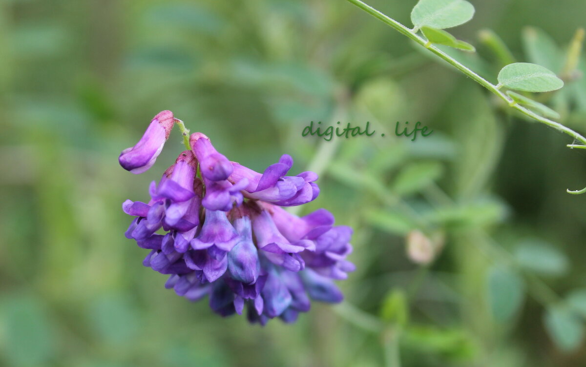 Фото автора. С Нарвинского перевала Приморского края