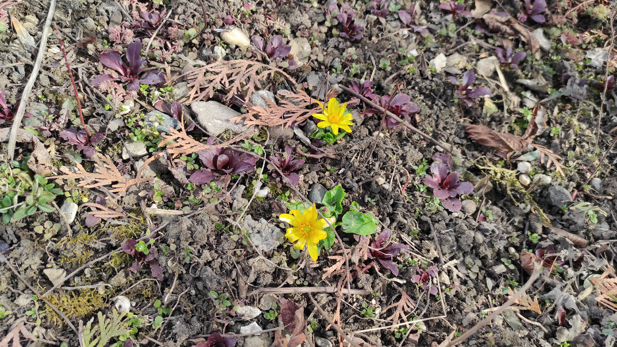 Простенько, но так приятно в середине февраля! Фото: Кирилл Полиенко/Polienko: путешествуем вдвоём