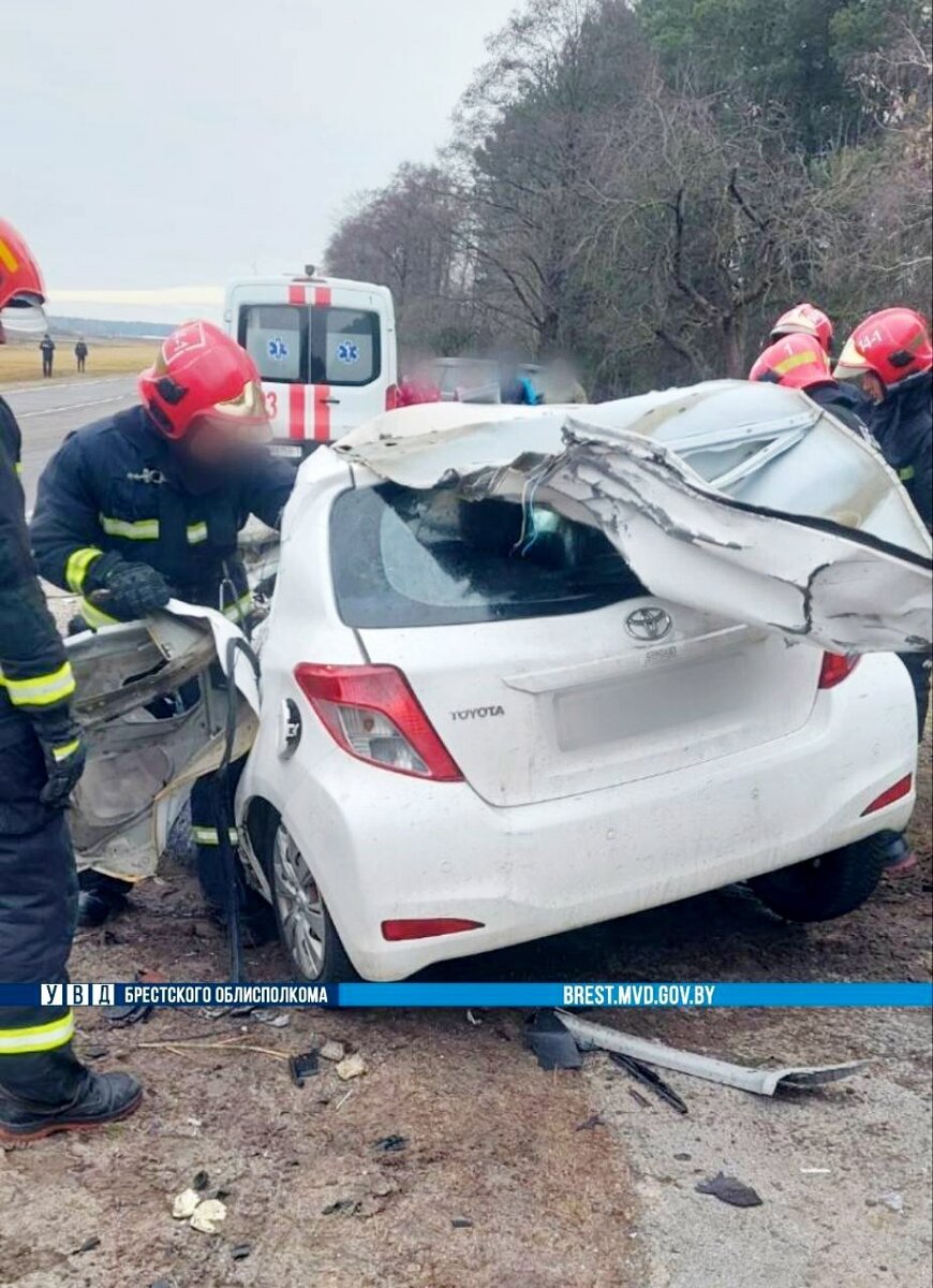 На Брестчине Toyota влетела на встречке в лесовоз – водитель погиб — Фото