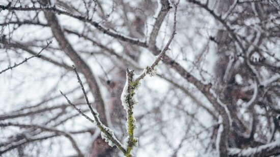    Фото: ru.freepik.com