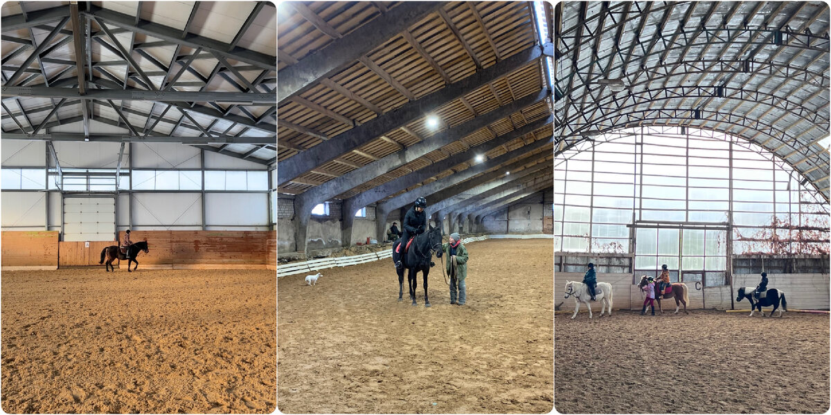 Манежи в ЛПХ «Кабицыно», КСК «Гандикап» и КСК «Вертикаль»