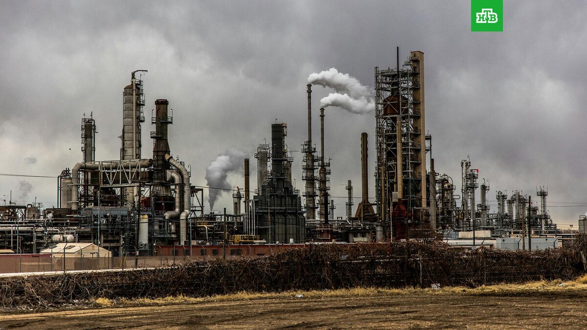    Фото: Patrick Hendry / unsplash.com