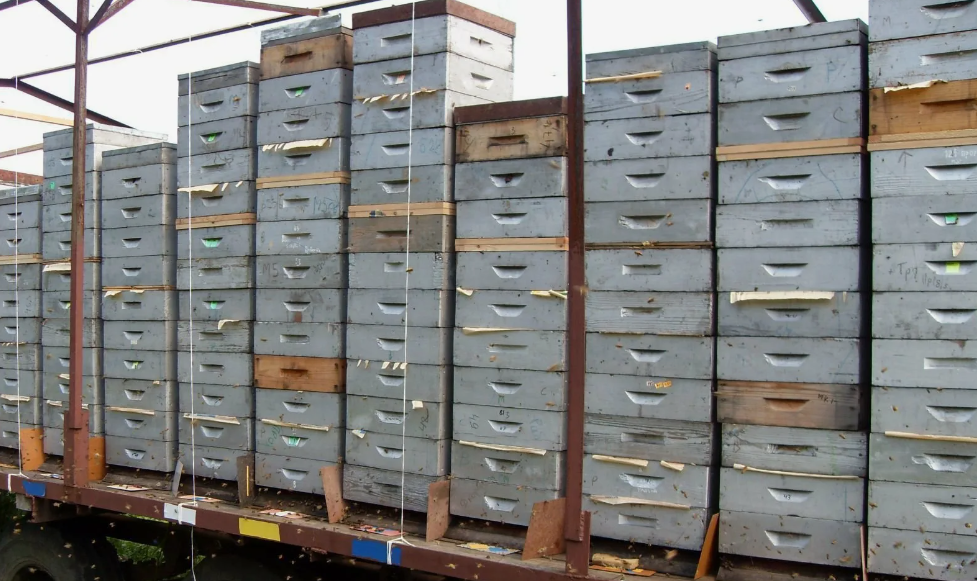 Альпийские улья на платформе