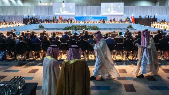    В МИД заявили, что у РФ нет сомнений по поводу статуса Саудовской Аравии в БРИКС Анастасия Романова