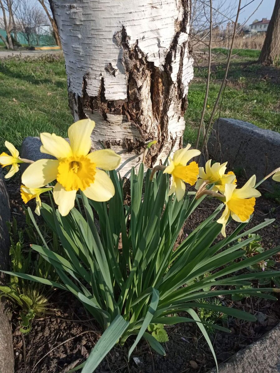 Фото автора. Я жду! 