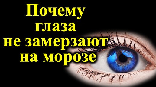 Ударил мороз. Загляни в глаза но не замерзай песня. Снежинки на ресницах. Иней на ресницах. Белая тушь для ресниц.