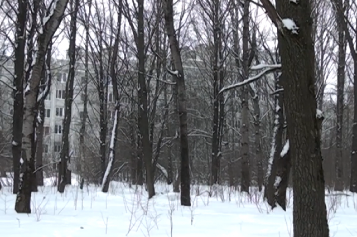    В Калуге запланировали строительство новой школы в микрорайоне «Тайфун»