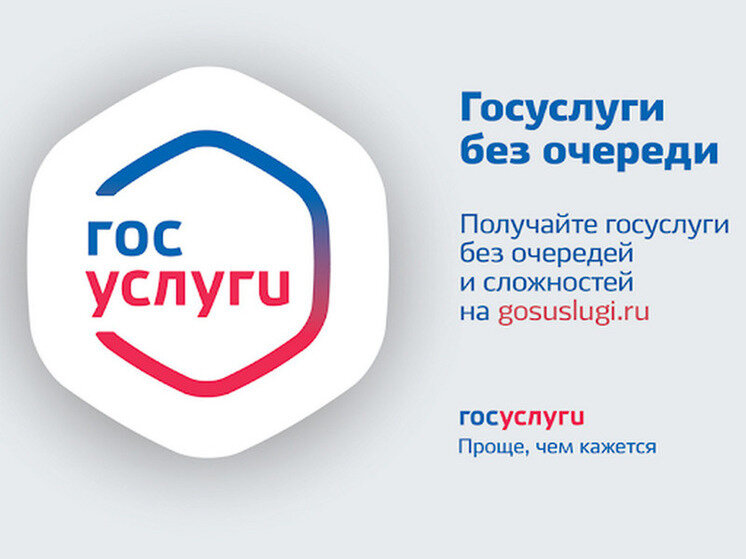 как заполнить анкету на госуслугах. анкета на госуслугах. анкета на госуслугах. как заполнить анкету на госуслугах. анкета на госуслугах для возвращения из за границы.