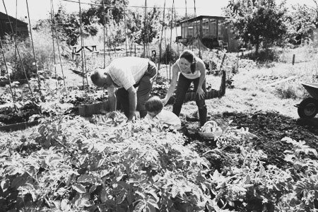 Кроме работы в огороде, я еще доила коров и ухаживала за животными (у нас были лошади, коровы, телята, овцы, кролики, гуси, утки, куры, перепелки, голуби, попугаи и канарейки)