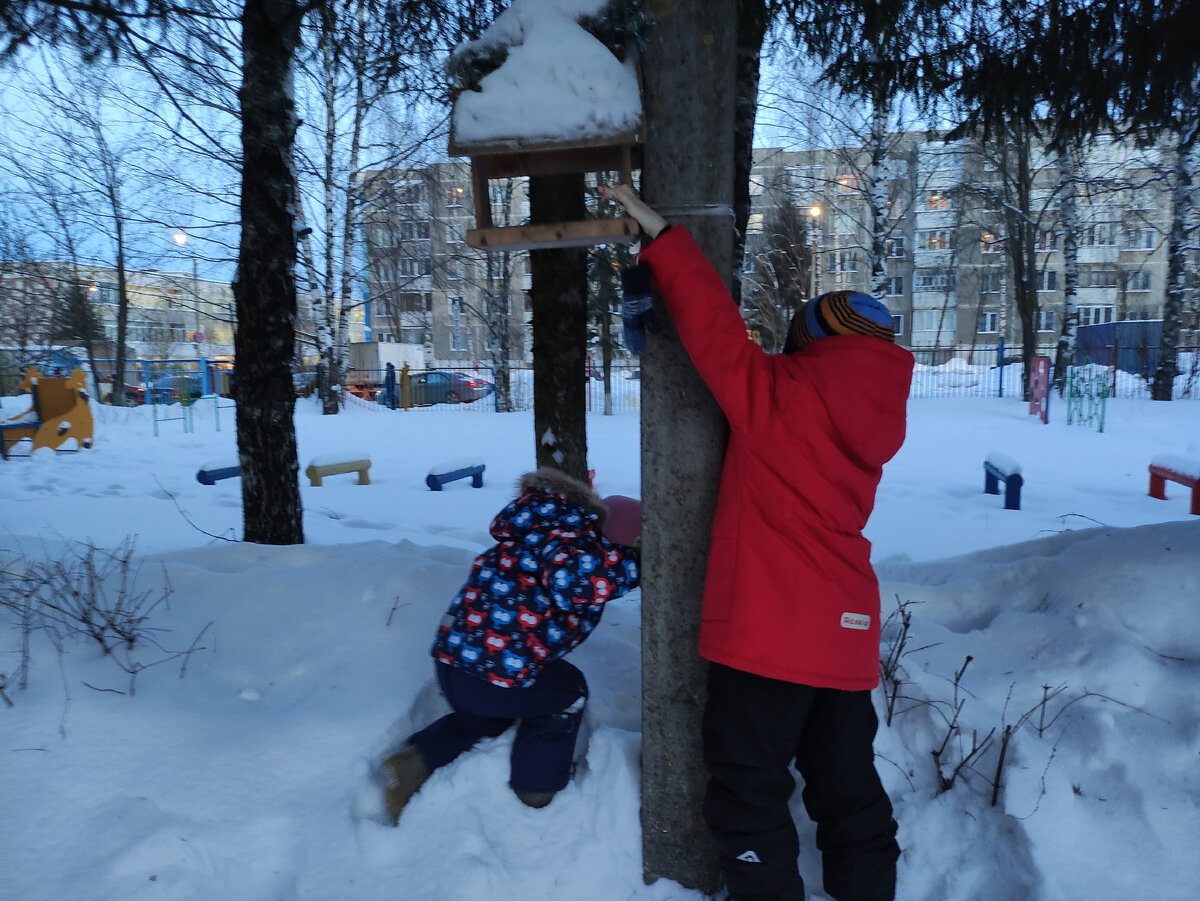 В мороз обязательно надо подкармливать птиц, только не белым хлебом, а семенами.