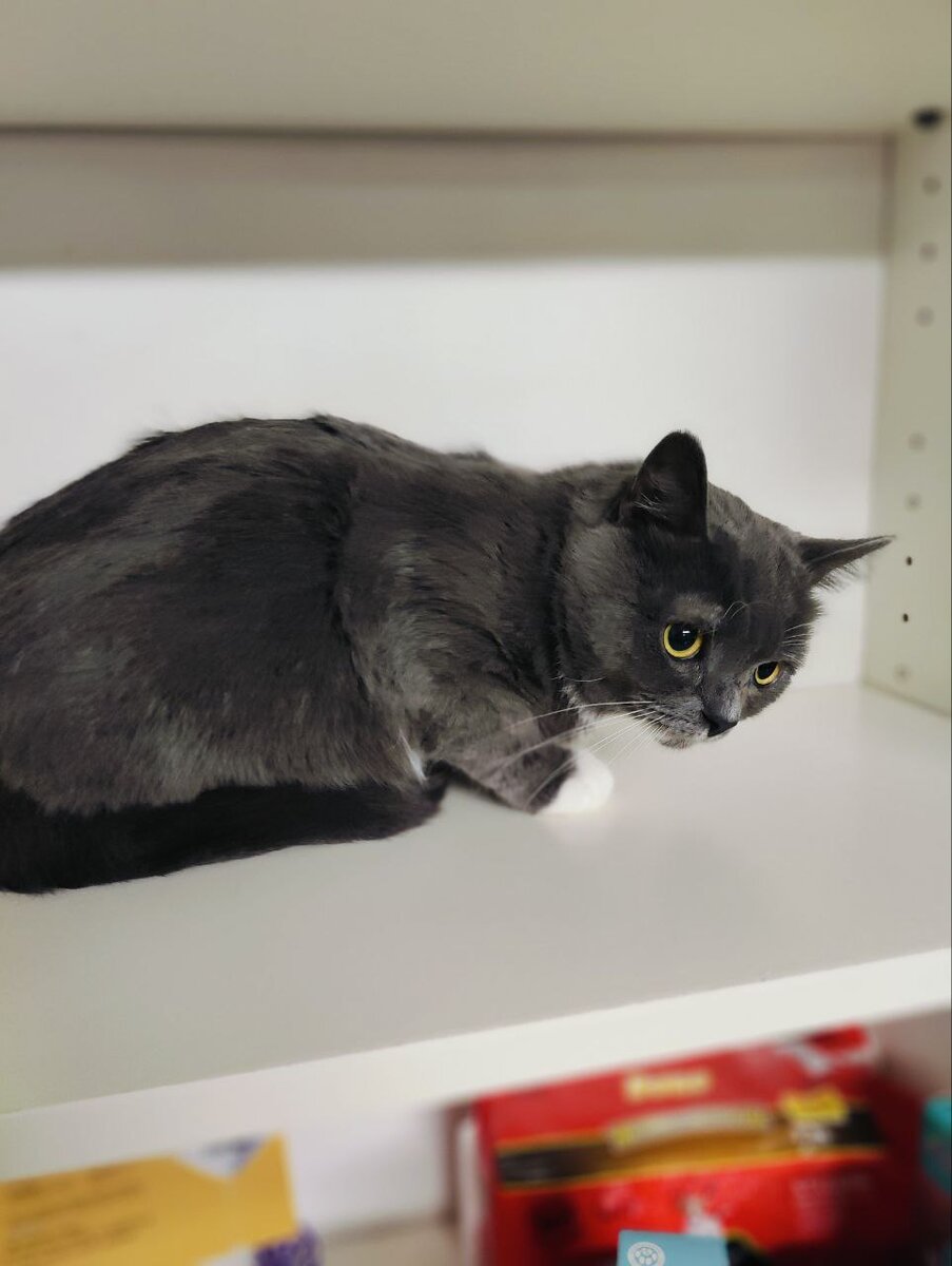 детская вечеринка. 10 летие дома. 10 летие дома. 10 летие дома. необычные фотозоны на день рождения.