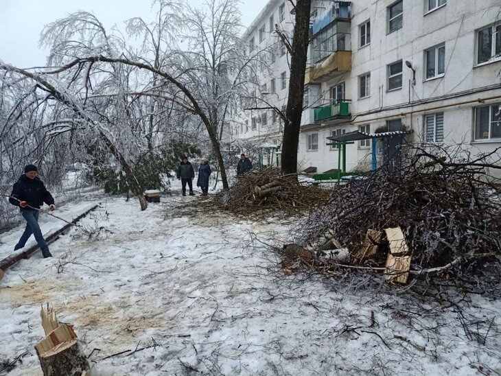 Дом в лесу. Дом шале из оцилиндрованного бревна. Дача короленко джанхот. Стоун вуд хаус. Деревя 1 ый дом.