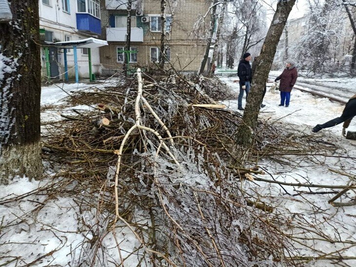 Уборка веток