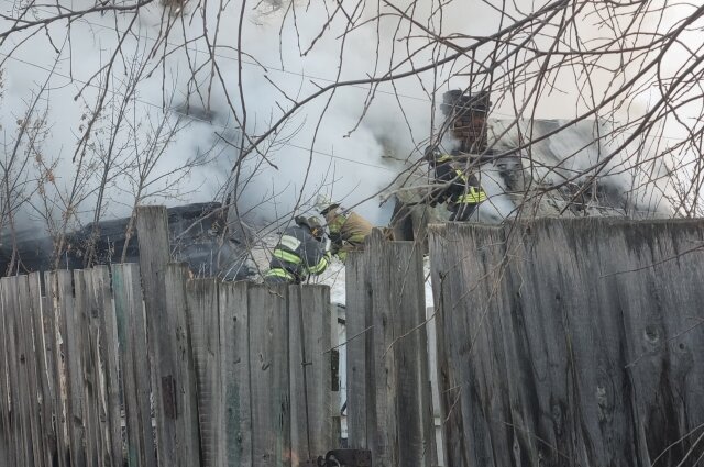    Фото:  АиФ/ Владимир Савельев