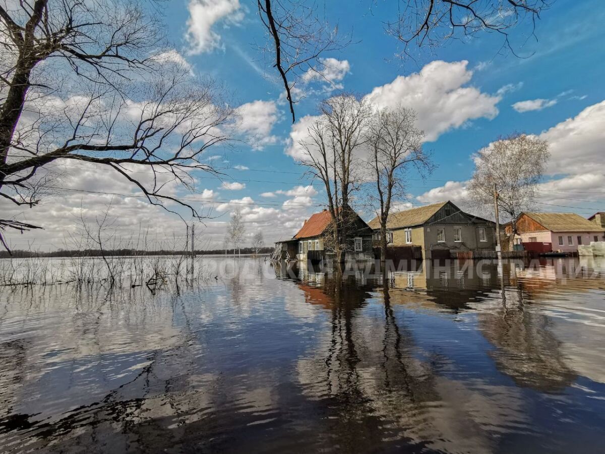 В этом году паводок затопит Брянск, как в 2023 | «Новости Брянска» | Дзен