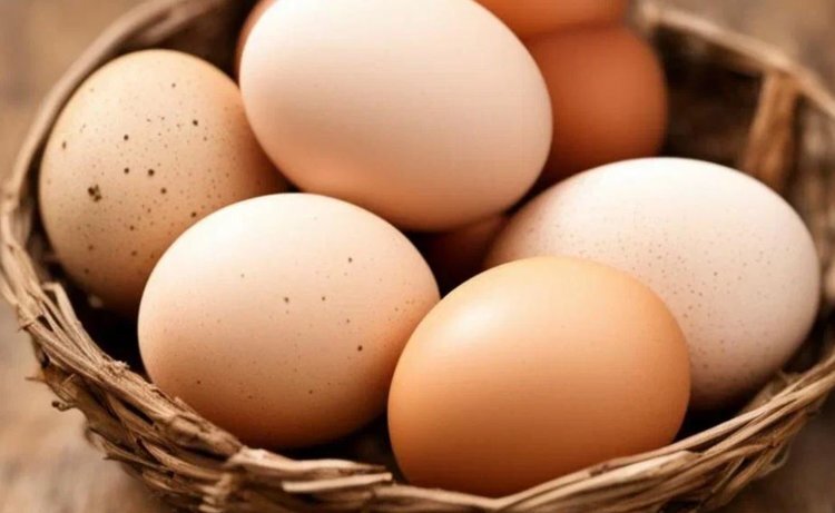    Иркутское птицеводство обеспечивает регион пищевым куриным яйцом на 156 процентов