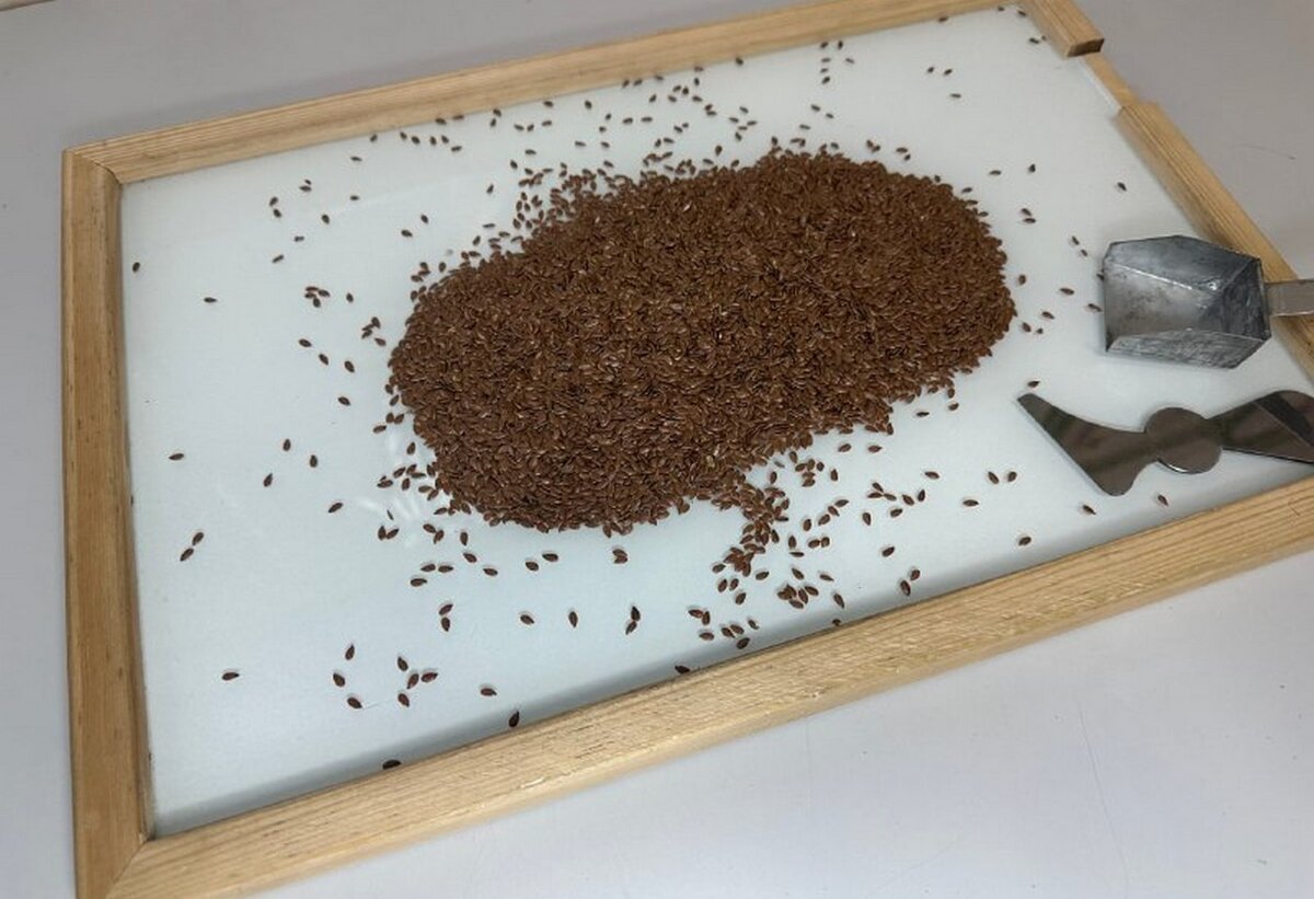    Курская область в январе экспортировала 159,5 тысячи тонн зерна