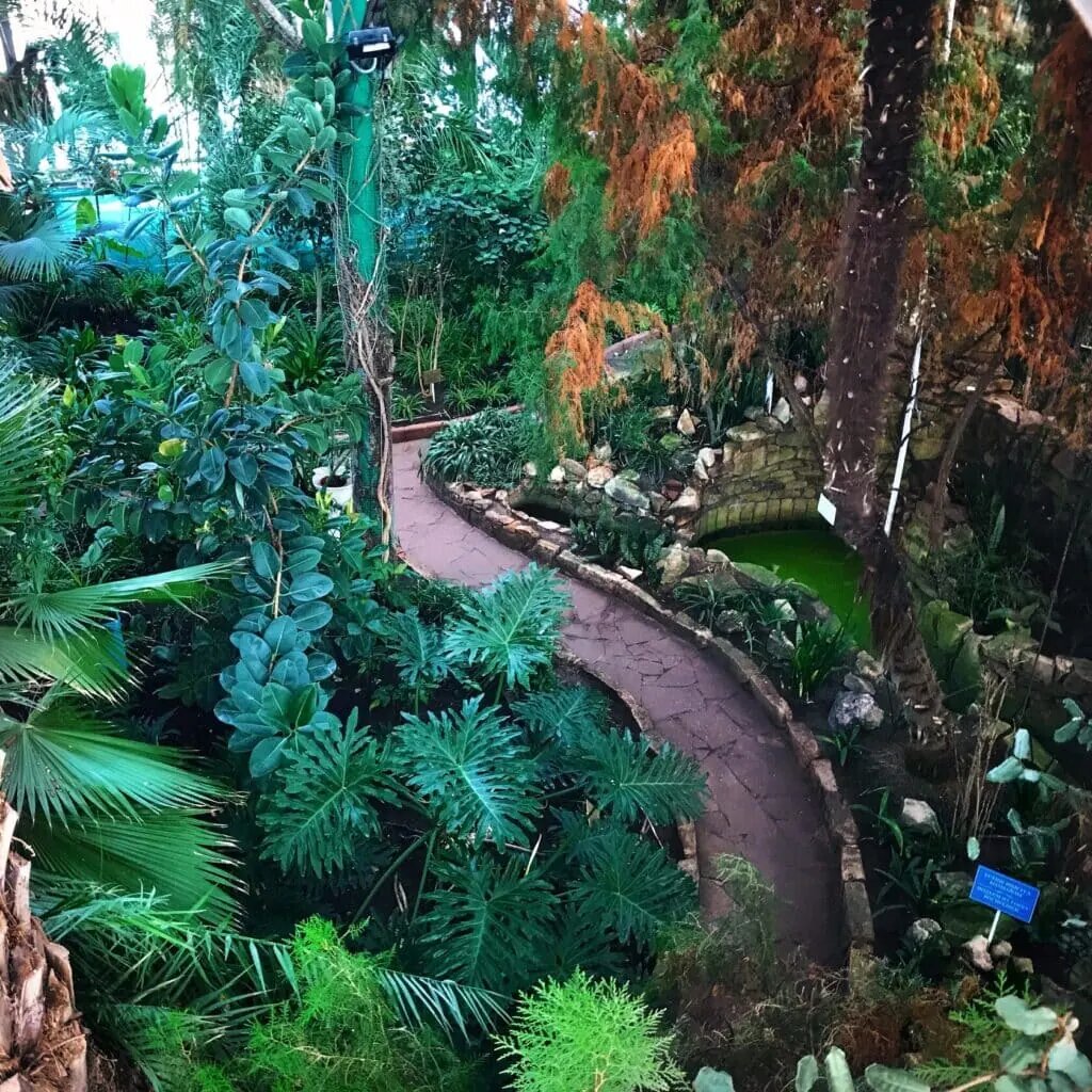    Фото: botanical-garden.kz Данияр Кунафин