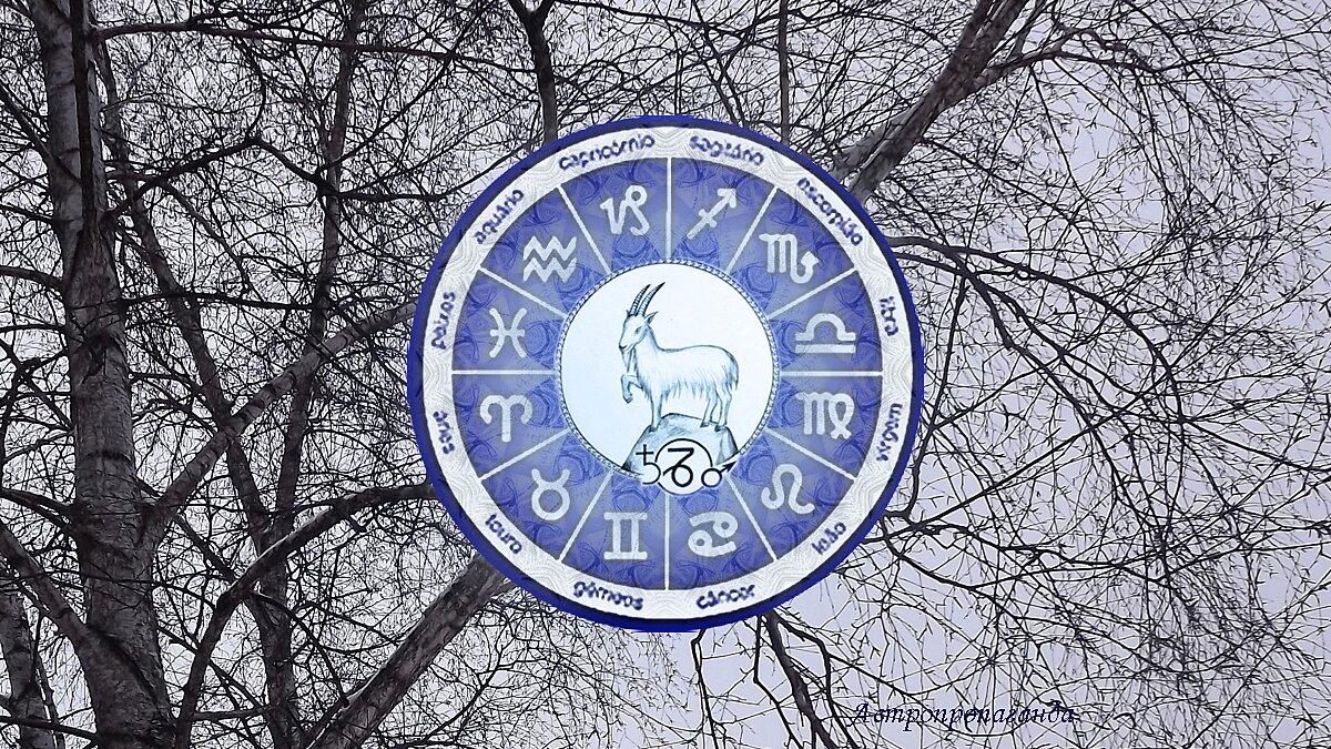 Гороскоп для Козерога с 5 февраля по 3 марта 2024. 