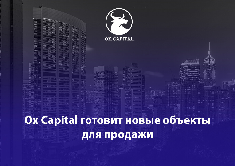 Ox capital франшиза отзывы