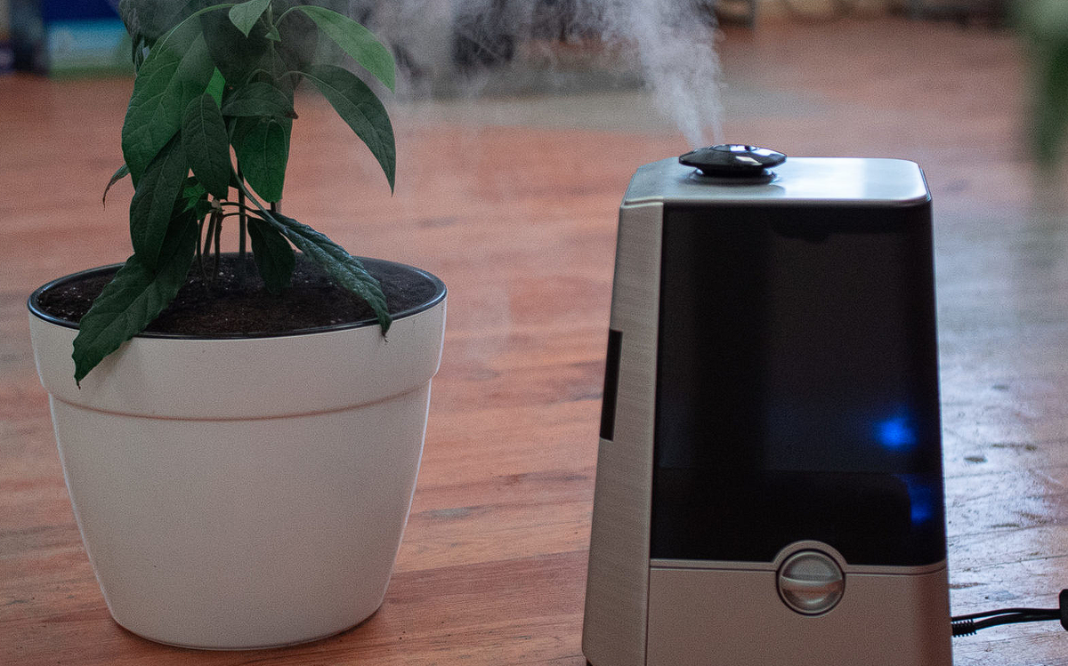 увлажнение воздуха в комнате. увлажнитель воздуха для квартиры. увлажнитель воздуха в комнате. увлажнитель воздуха для растений. сухая атмосфера.