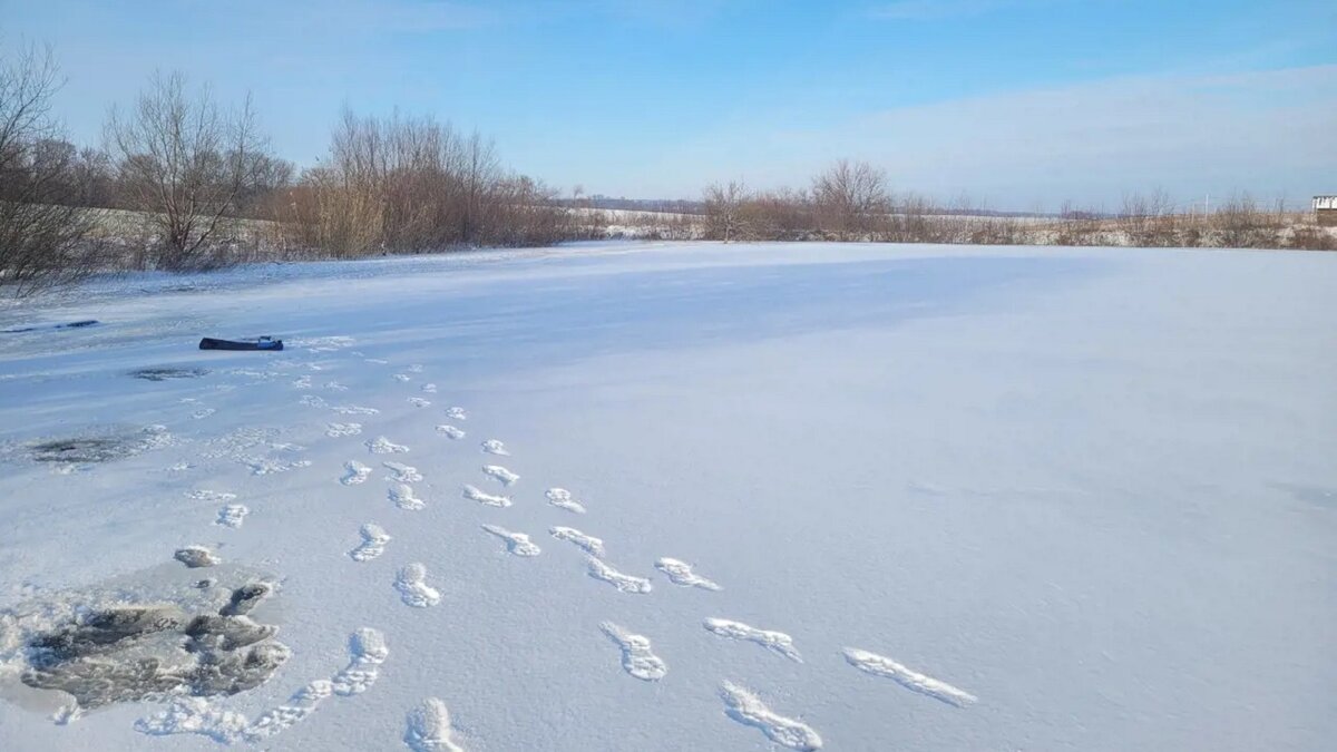 Хоккей подо льдом