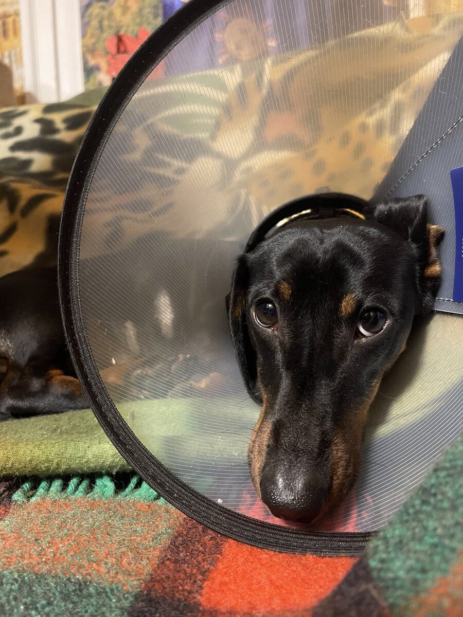 Пару недель ходил в "плафоне"