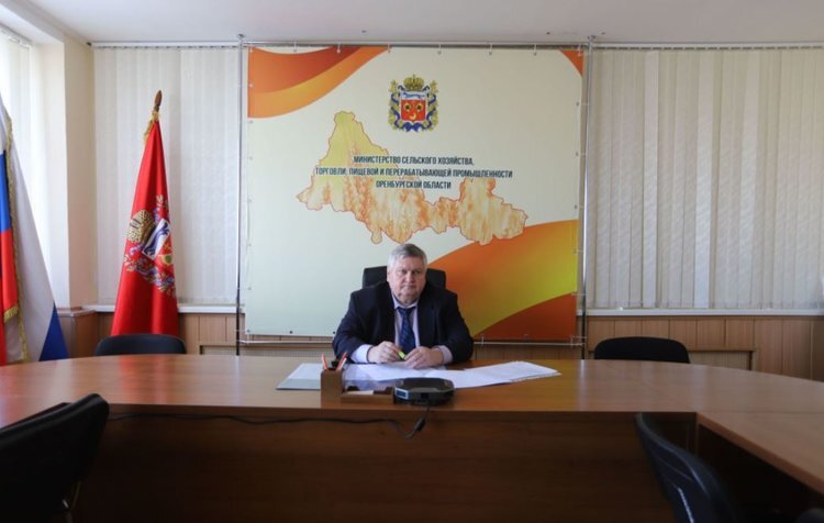    Общая посевная Оренбургской области под урожай 2024 превышает прошлогодний показатель