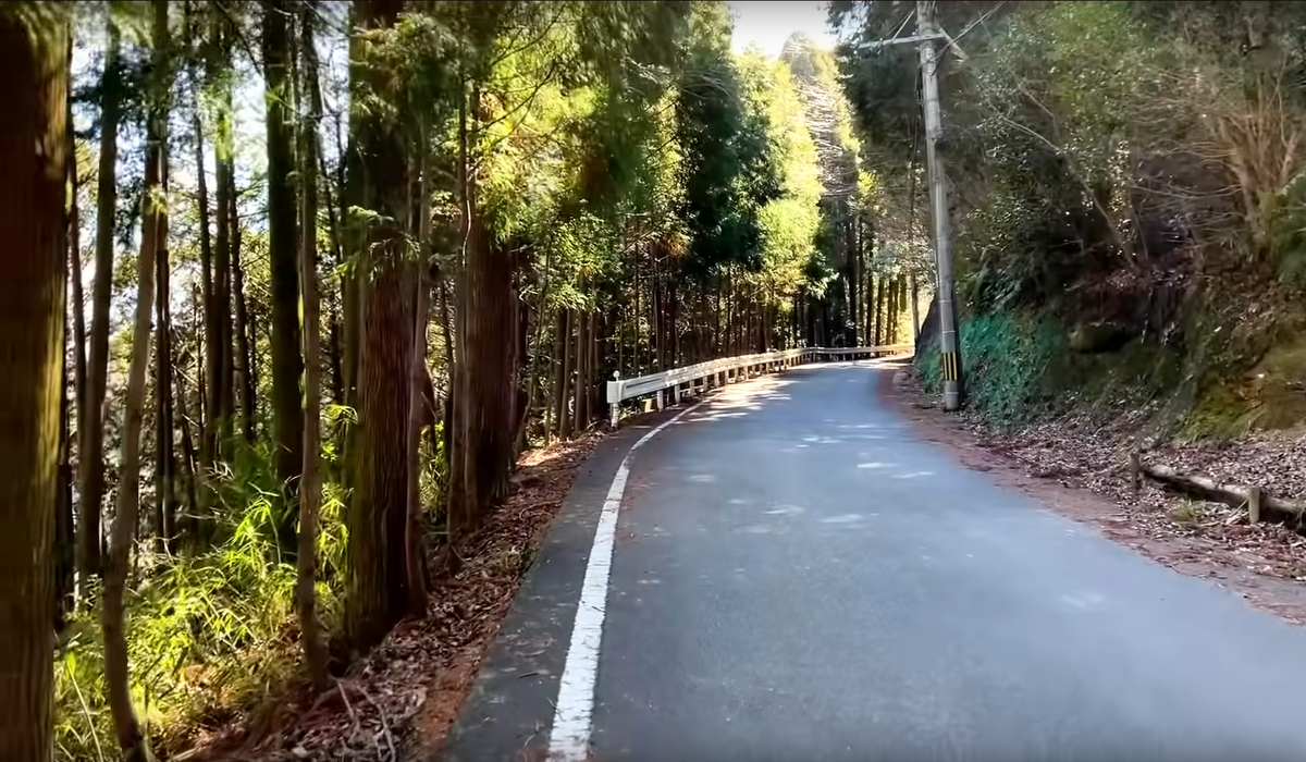 Японские дороги в горах соответствуют образу февраля 2024 года.