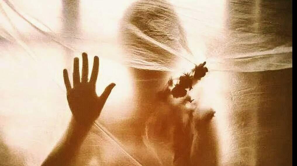 Фото из интернета 