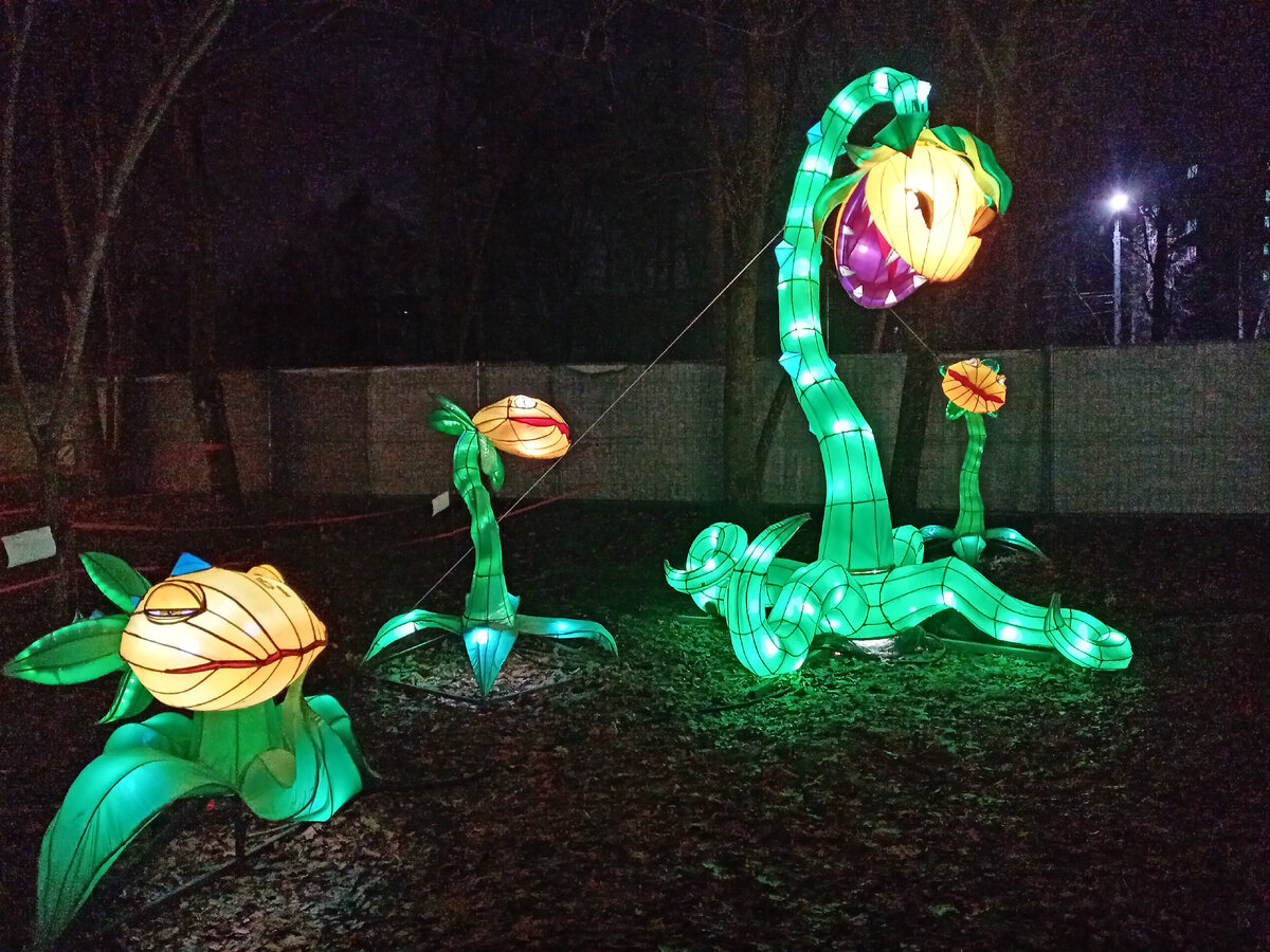 бывает волшебным