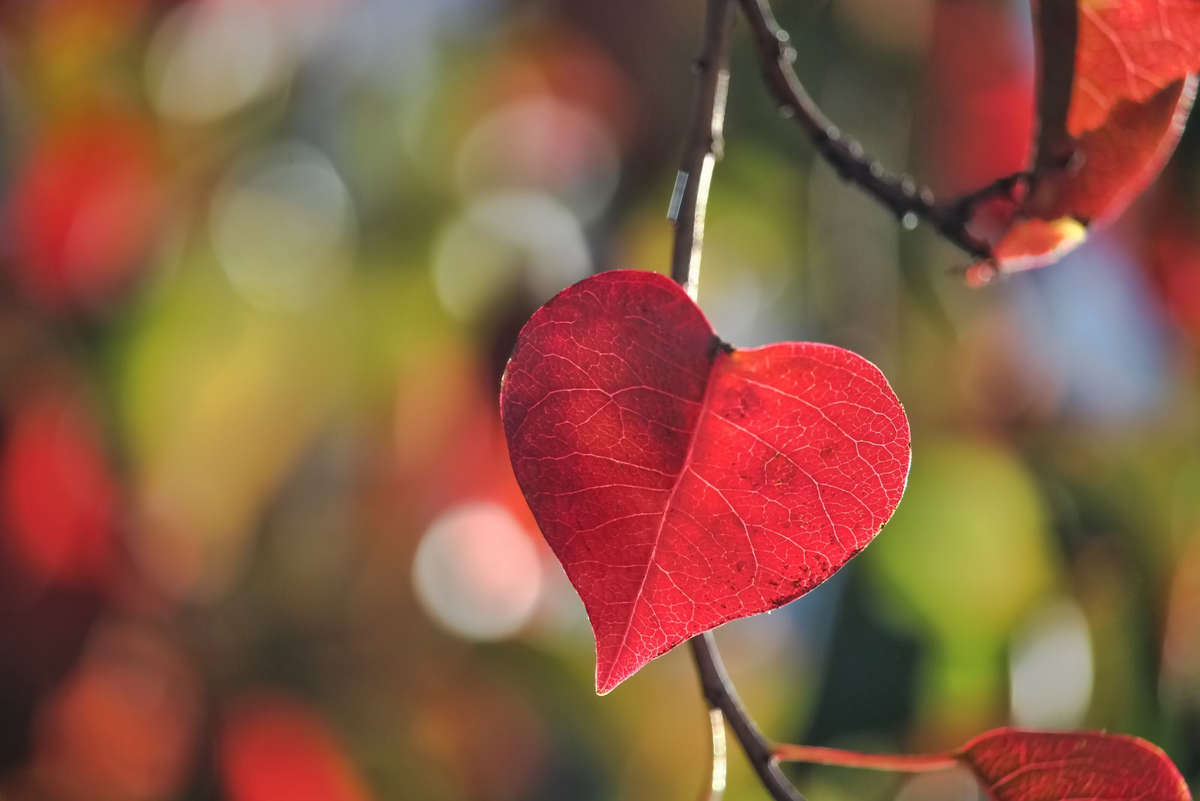 Интернет - свободный доступ