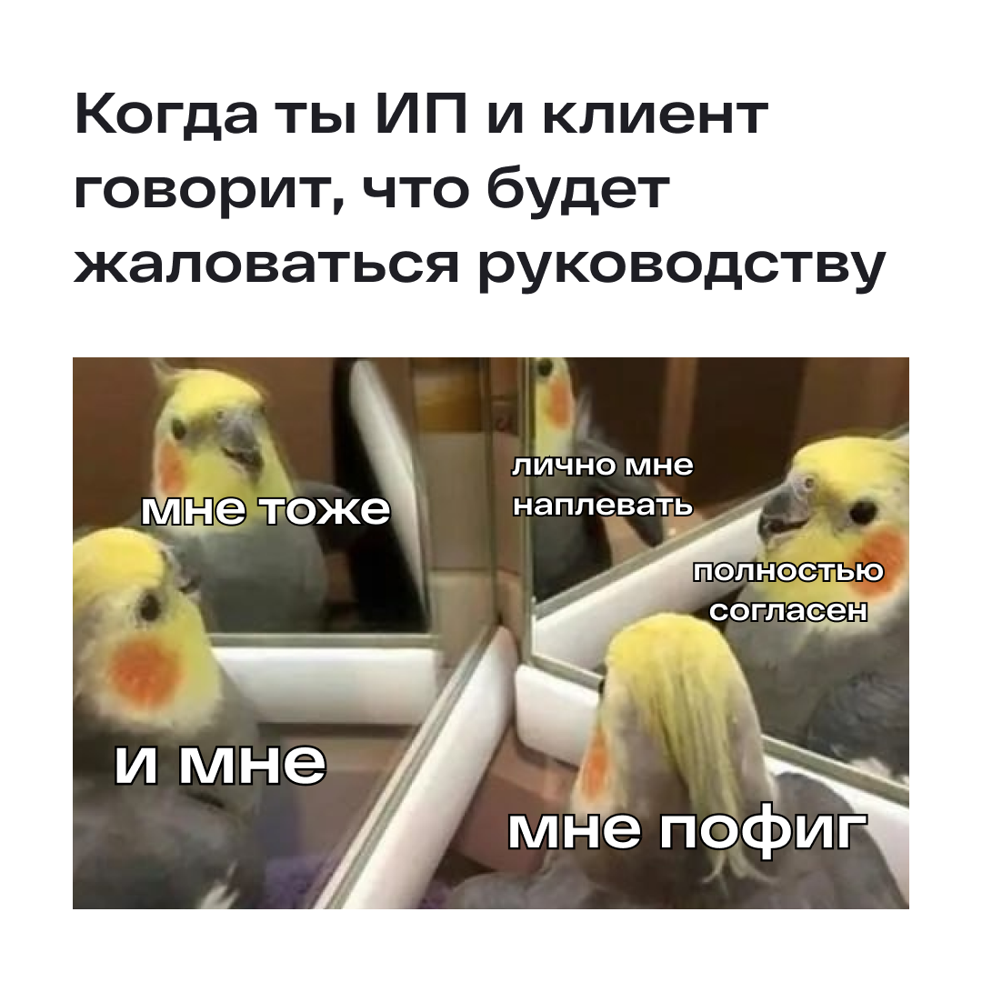 Как быстро открыть ИП в 2024 году: простая инструкция | Хайс Банк | Дзен