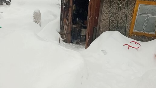 Нас опять завалило снегом, малышня и борьба с вредителями!