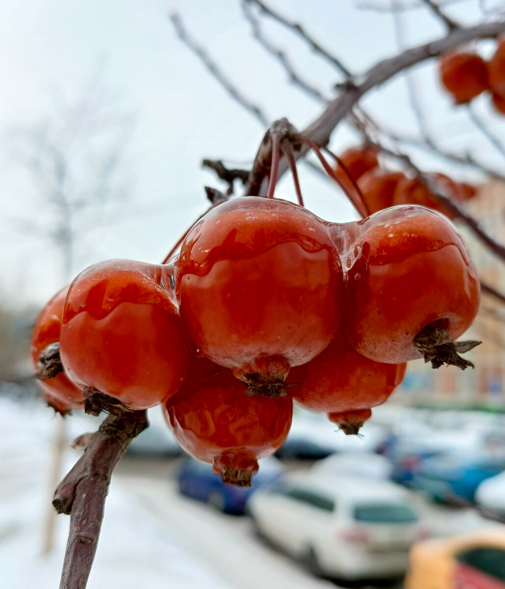 Правда красиво?!!