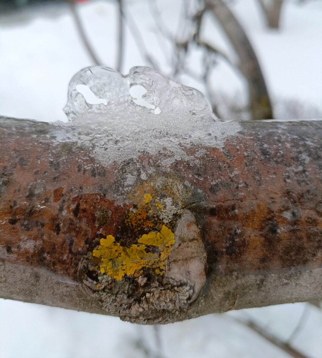 Напоимнает фигурки зверей.