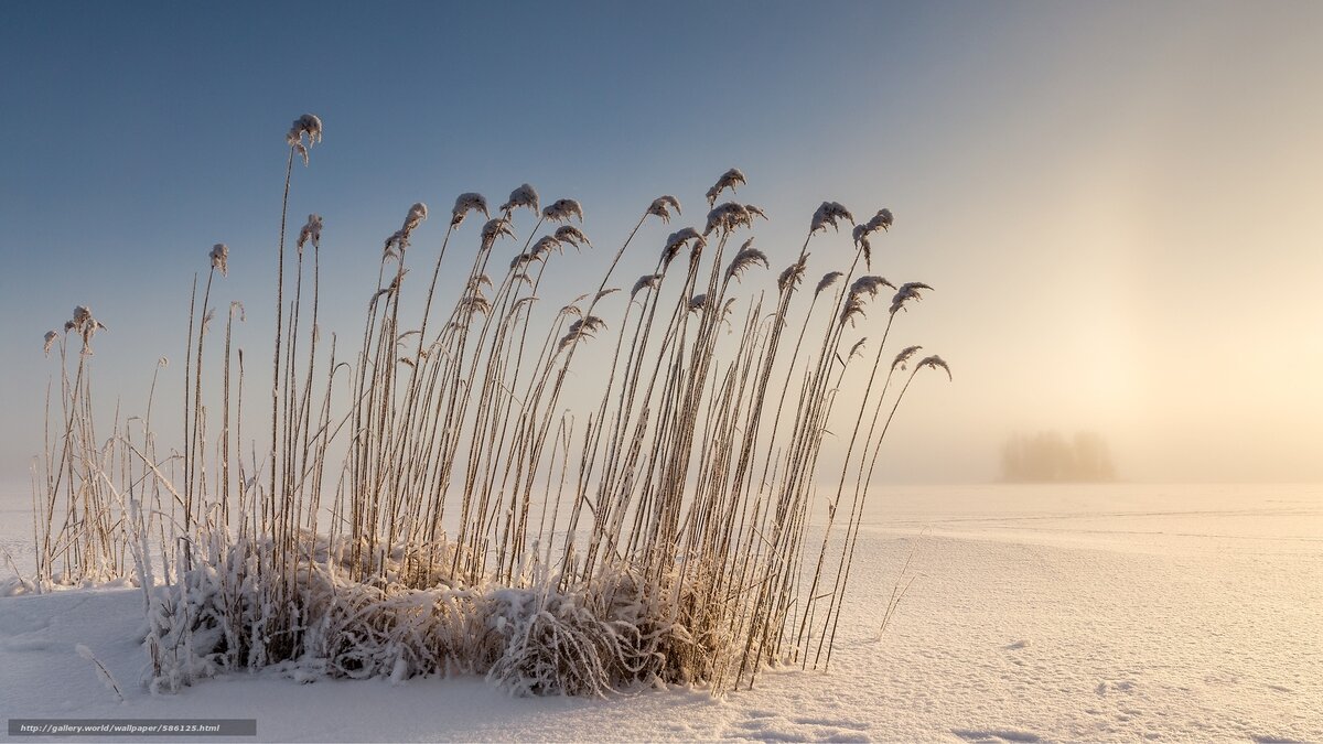 Фото ru.gallery.world/u/fotomen