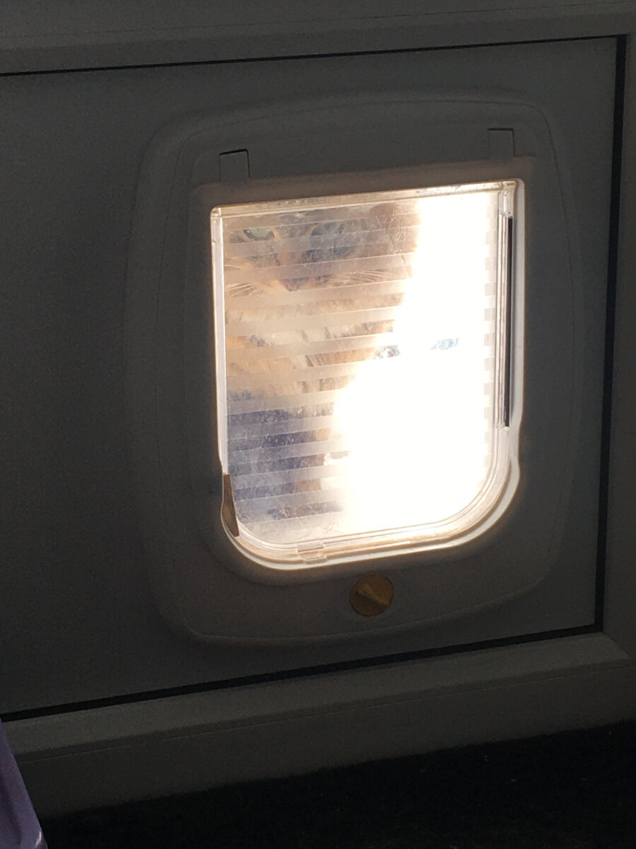 Уселся на балкончик и смотрит.