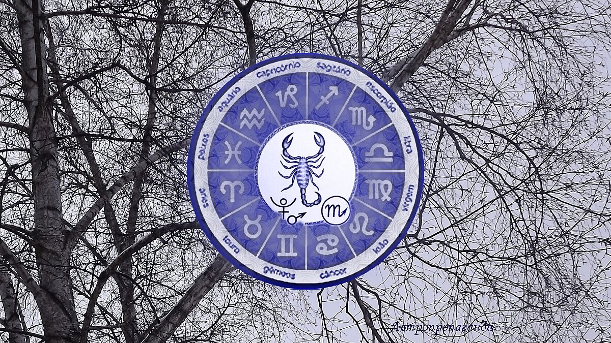 телец. календарь 2023 скорпион. телец в 2023 году. 2 февраля 2024 скорпион. скорпион 2022.