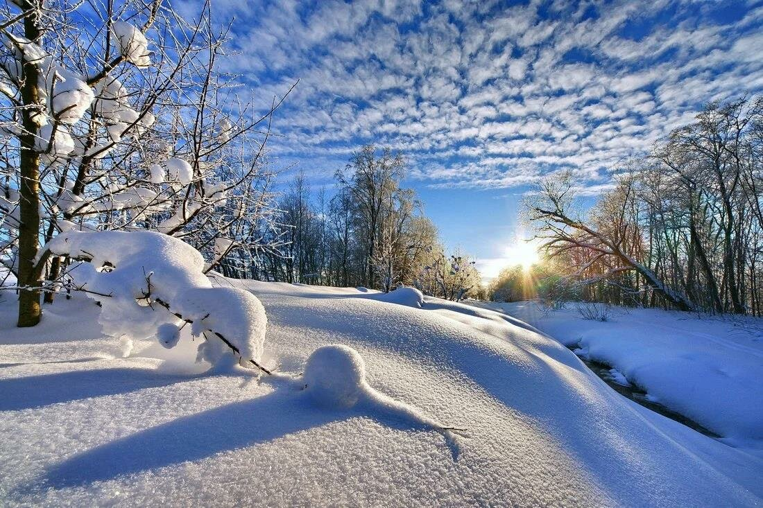 Шутки про агрономов. Агроном еще утром предупреждал. Агроном прикол. Мужчина в поле. Агроном еще утром предупреждал.