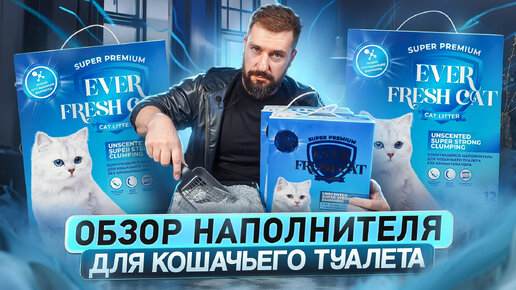 Сравниваем EVER CLEAN и EVER FRESH CAT | Новый наполнитель для кошачьего туалета