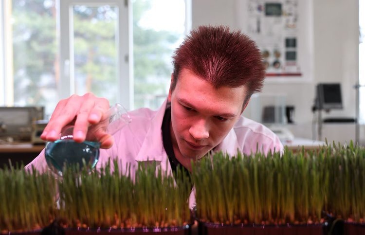    Биоудобрение медленного высвобождения из отходов животноводства создали ученые СКФУ