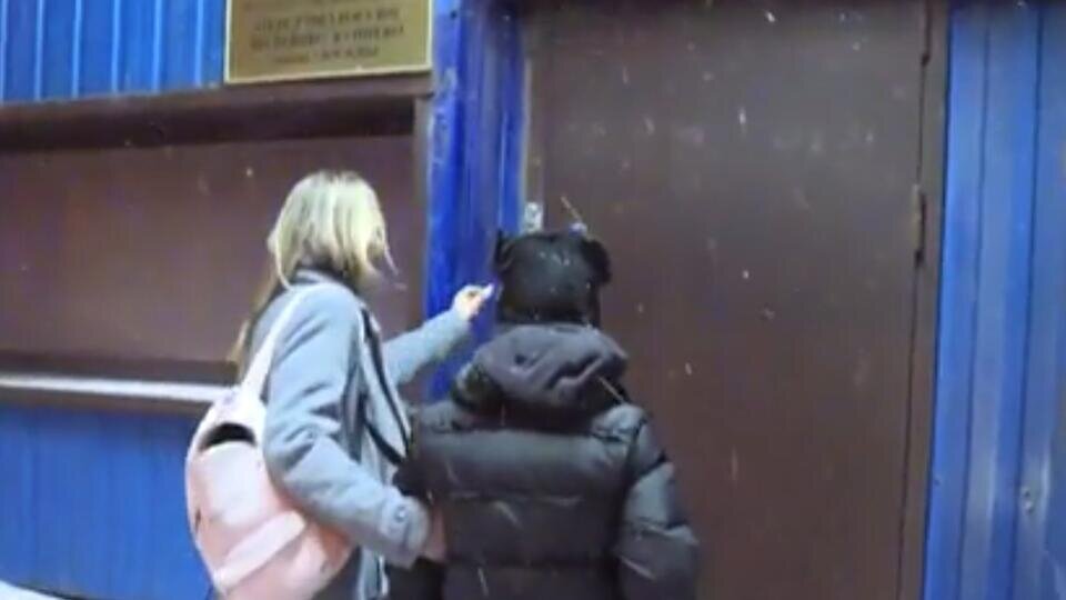 Фото: © Скриншот видео