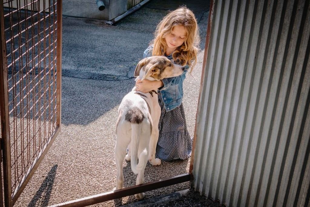 Один из сюжетов фильма снят в собачем приюте, было радостно увидеть, что о собакаха заботятся в разных странах и мы не отстаем! А может в чем-то даже опережаем иностранных коллег)