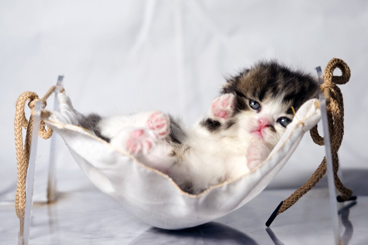 Фото Е.Карпушкина