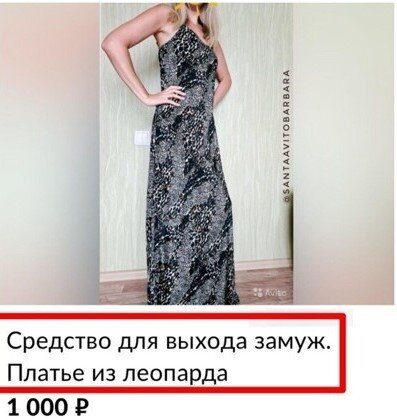 Человек и животное. Люди которые меня пытаются обмануть. Смешные фото. Смешные случаи из жизни короткие. Смешно наблюдать за человеком.