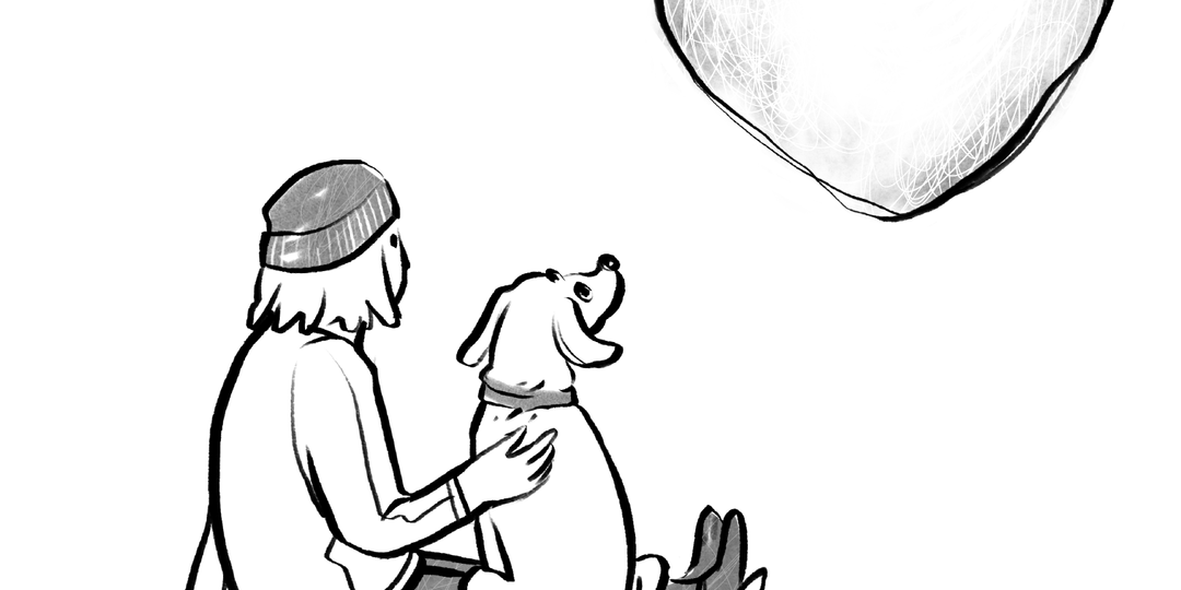 Как собаки проявляют любовь и чем им можно ответить