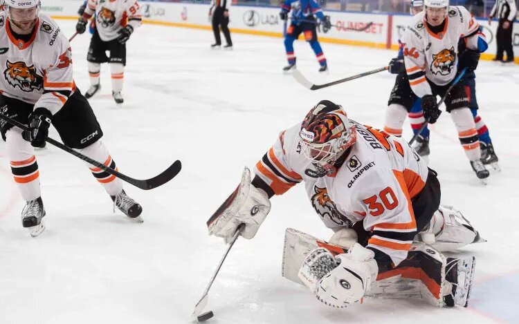    Источник фото: ХК «Амур»