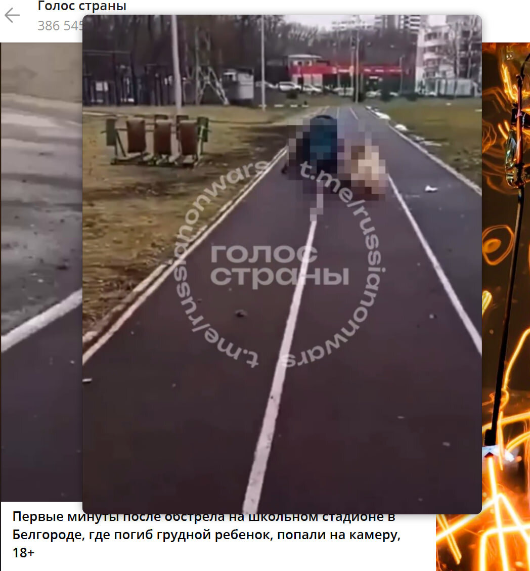    Скриншот: Голос страны/Telegram